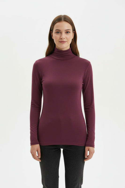 Plum Sheer Turtleneck Blouse